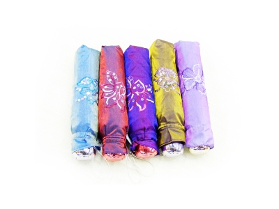 The chameleon three fold
