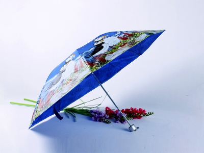 Advertising umbrella