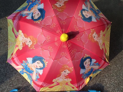 Waterproof cover 55 cm umbrellas