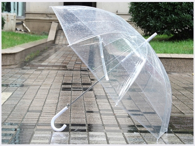 transparent pvc umbrella