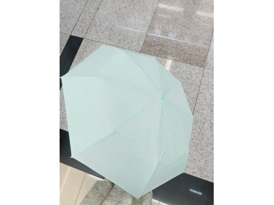 Auto Open Folding Umbrella
